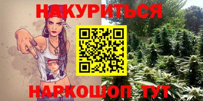 кокс Донской