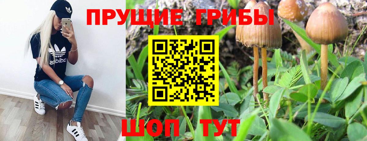 Галлюциногенные грибы Cubensis  Вход с VPN  Псилоцибиновые грибы ЛСД  Лянтор 